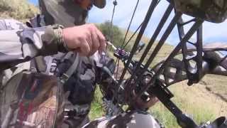 Bowhunting New Zealand Record Book Ram And Goat.