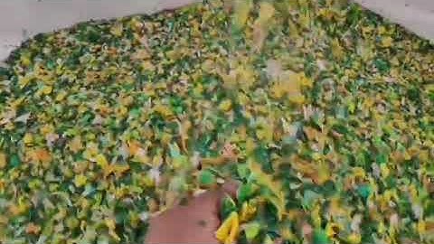 Color sorting machine sorting PP/PE.0086-18616026596