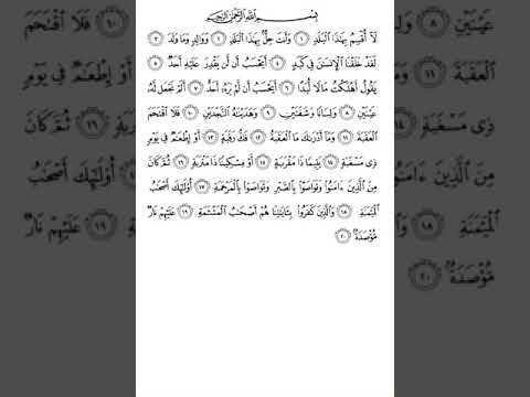 سوره البلد مكررة ٥٠ مره ماهر المعيقلي