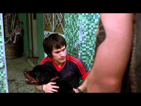 Amores Perros - Trailer