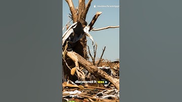 🌪️ The Tornado That Turned Invisible — Nature’s Hidden Fury 😨 #mindblown