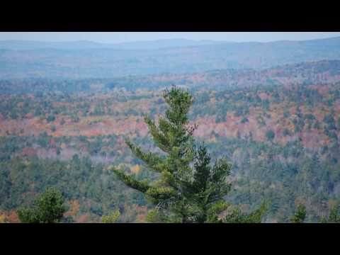 Hiking in New Hampshire on Mt Blue Job State Park Farmington & Rochester NH Autumn of 2010