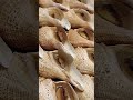 Amazing Oyster  Alive in Shell🦪🦪🦪 #satisfyingasmr #asmrsounds #shorts #satisfyingvideo