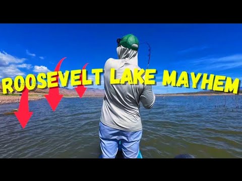 Bass Fishing Madness at Roosevelt Lake