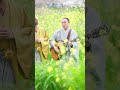チューリップ「青春の影」カバー