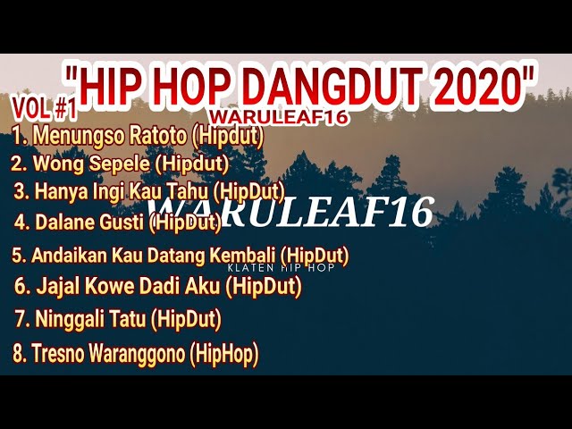 KUMPULAN LAGU HIP HOP DANGDUT 2020 (WARU LEAF) VOL#1 class=