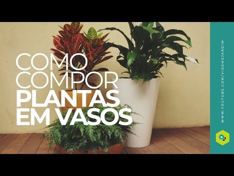 Vídeo: Composições De Colheitas Bulbosas Em Vasos Altos