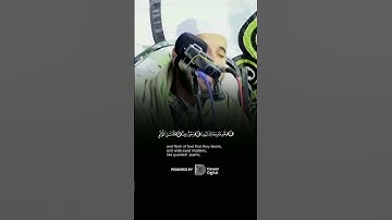 مفاجأة.. تلاوة أسطورية للشيخ أسامة الهواري تهز القلوب #قران #قران_كريم #quran #اكسبلور