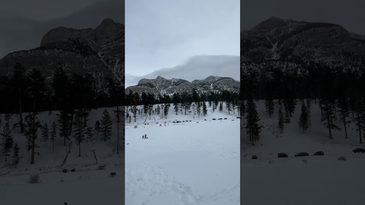 OMG! Amazing view at Mountain Charleston - Lee Meadow - Las Vegas, Nevada