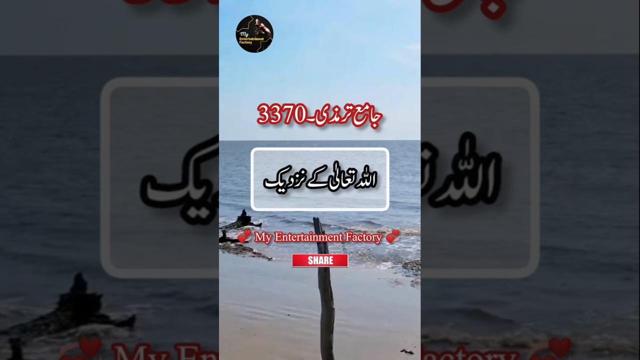 Best Hadees 🌹💞🌹| Hadees Nabvi ﷺ | Mubarak Hadith Of Prophet Muhammad PBUH | Hadees Sharif 
