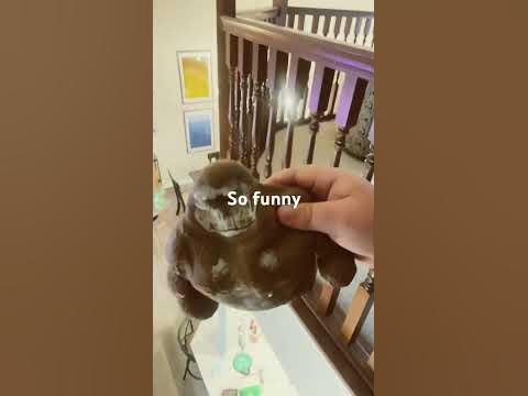 Did monkey die? - YouTube