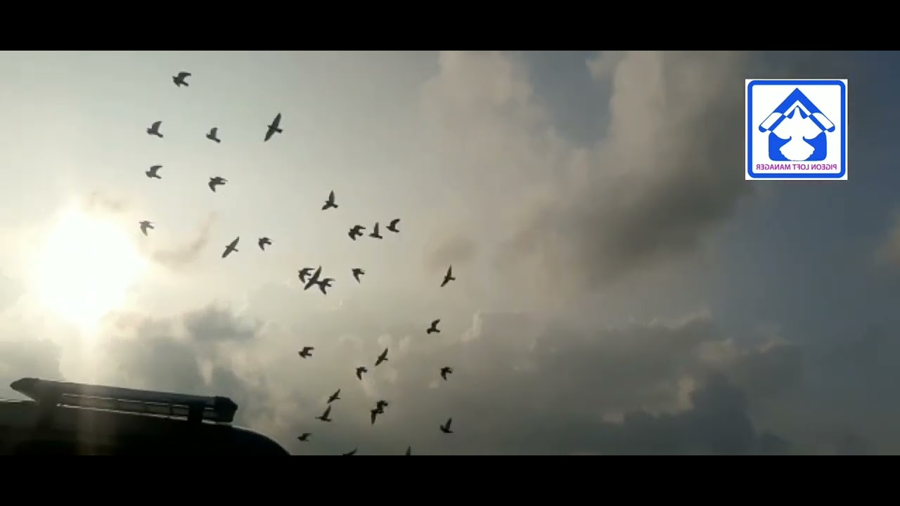 PRHC HIMAN LOFT  20 KM TRAINING