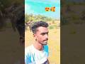 AM DOM ASEL USUL//#shortvideo #trending #santhalivlogger #funny #santhalisong #sarisantali