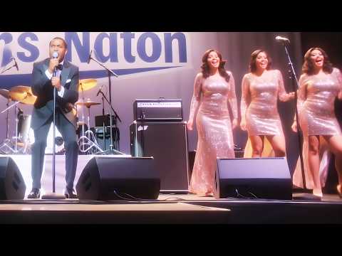 Best Live Chicago Blues Club Single 