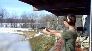 Stoeger Luger .22 for sale on Gunbroker