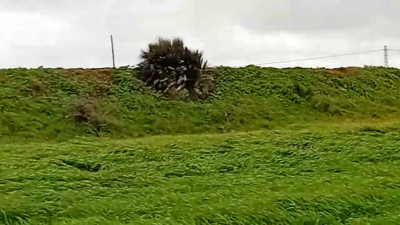 20 février 2026 said marin beni saf 