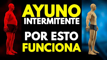 ¿Cuál es la proporción más eficaz para el ayuno intermitente?