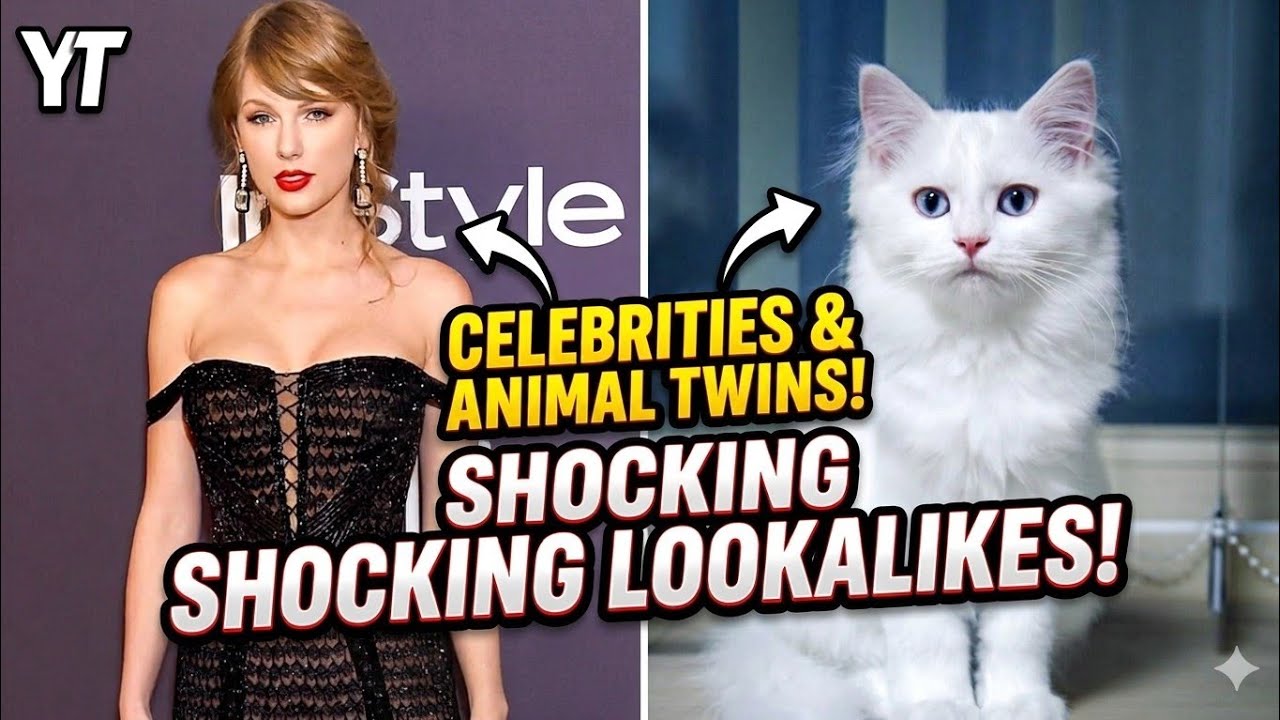 Unbelievable Celebrities Who Look Like Animals 😲 | Shocking Comparisons ...