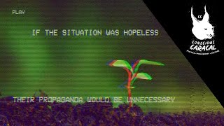 Live Not by Lies | Discussion Stream (10 000 Subscribers Special)