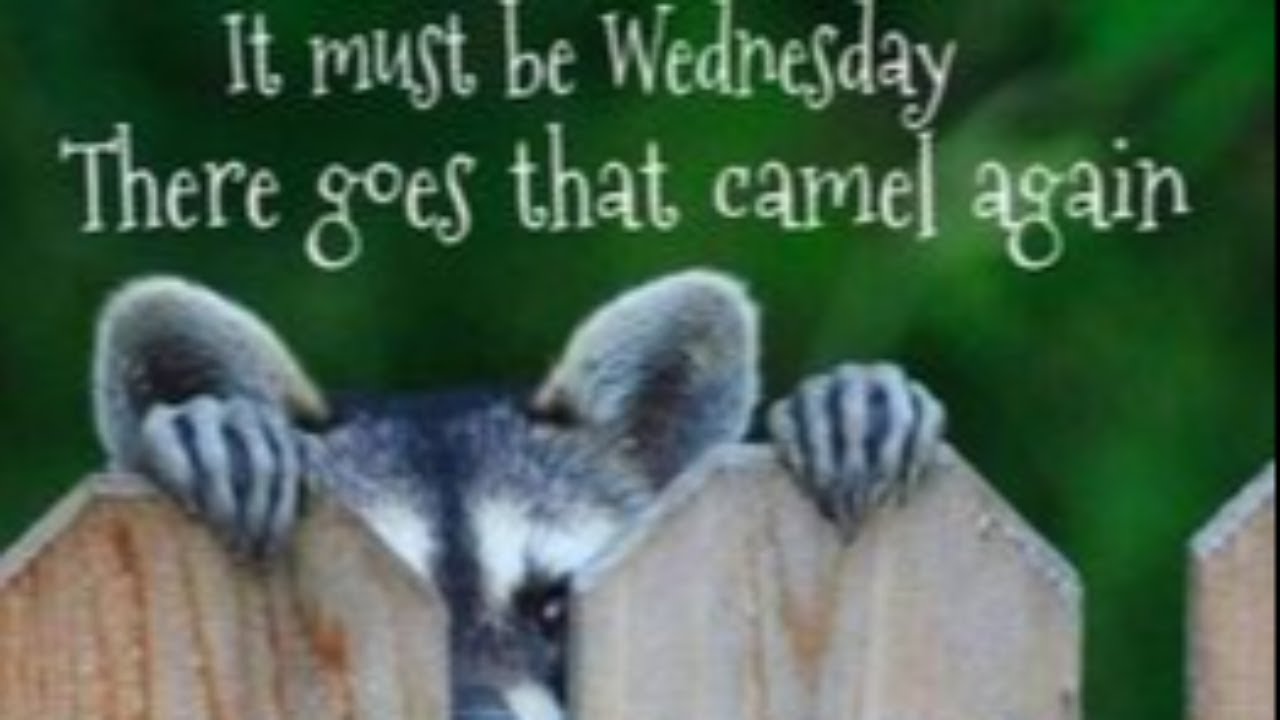 ONPASSIVE Updates With RED Things Are Moving YouTube Onpassive updates with red things are moving youtube