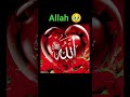 Ahy Allah jindagi mein jab maut ka waqt Aaye #shorts #viral #trending #im_muslim-888