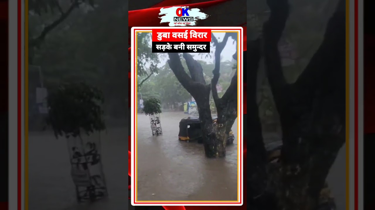 Vasai Virar Rain News | Rain Live update | Rain Live updates | Vasai | IMD | Rain | Vasai | Virar