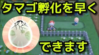 ポケモン ダイパリメイク タマゴを早く孵化させる方法 まるいおまもり入手方法 ポケットモンスター ブリリアントダイヤモンド シャイニングパール Youtube