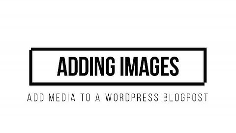 How to add images to your Blog Post in Wordpress | Fiona McGuire