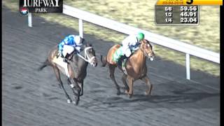 Turfway Park Report 03042016