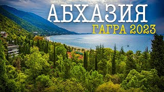 Сколько стоит отдохнуть в Абхазии? Гагра, отель Цитрус
