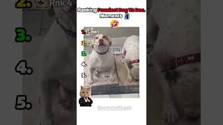 Ranking Funniest Dog vs Doctor Moments (part -4) 🤣