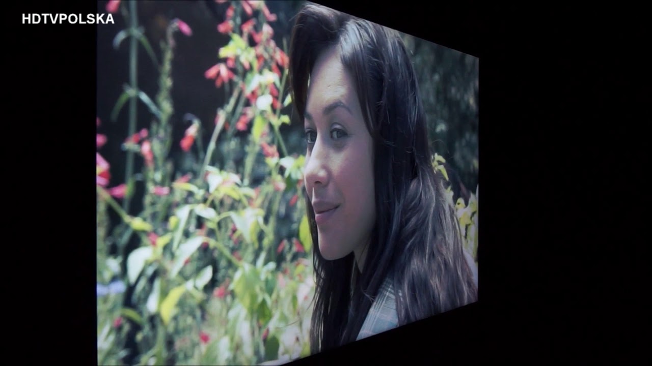 Samsung NU8002, NU8042, NU8072 test kąty widzenia / viewing angle