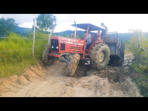 Video Yanmar 7000 chở mì bên bờ hồ xíu nữa bị lún. - youtube