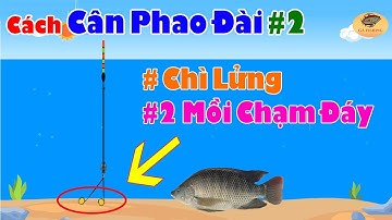 👉Hướng Dẫn Cách Cân Phao Câu Đài Chì Lửng, Hai Mồi Chạm Đáy 🎣 Cách Canh Phao Câu Đài #2