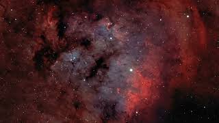 SH2 171 The Teddy Bear Nebula