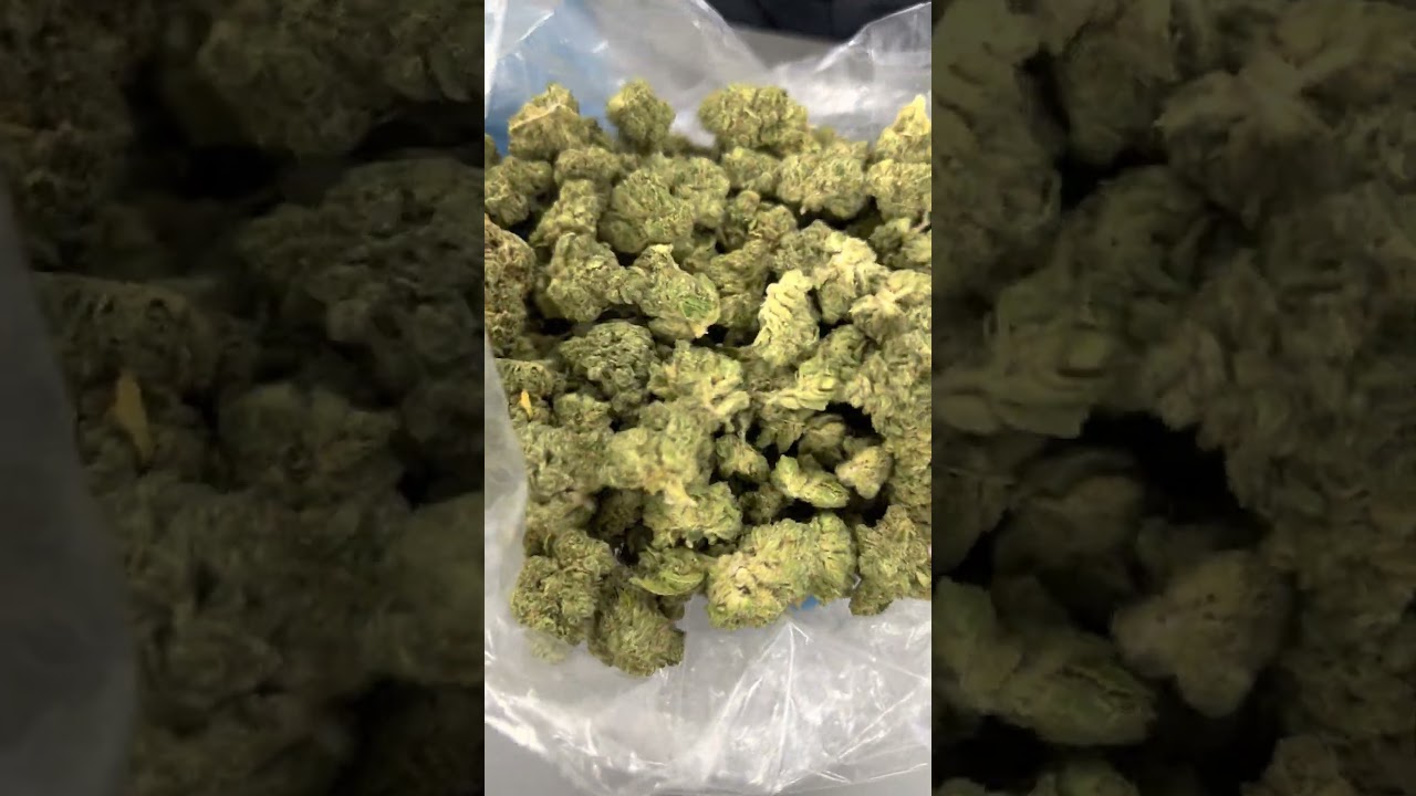 OMG! This sound of freshly strain