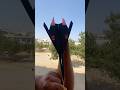 Cobra Fighter Paper Airplane Full Long Distance Fly