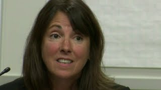 Michigan Supreme Court orders judge Theresa Brennan suspended with pay