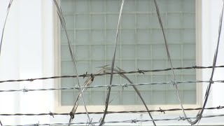 New COVID-19 outbreak at Santa Barbara Main Jail, 13 inmates test positive, visitation ...