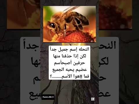 النحله إسم جميل جدا لكن إذا حذفنا منها حرفين أصبح إسم عظيم يحبه الجميع فما هو الإسم