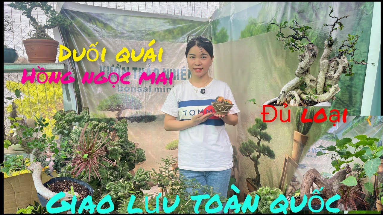 December 24th: Exchange of bonsai trees. Pink apricot blossoms