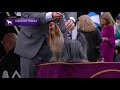 Yorkshire Terriers | Breed Judging 2021 の動画、YouTube動画。