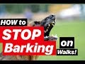 How to STOP barking dog on leash!- Dog Training with America's Canine Educator How to STOP barking dog on leash!- Dog Training with America's Canine Educator