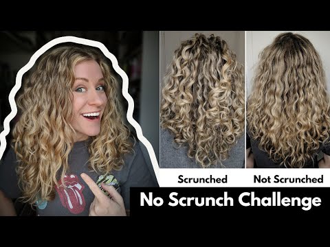 No Scrunch Challenge!  I did my Curly Routine without Scrunching