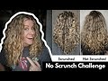 No Scrunch Challenge!  I did my Curly Routine without Scrunching