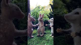 Possum Introductions.