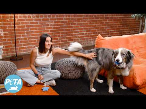 Paola Nuñez And Her Adopted Dog Swipe Right On Compassion PETA Latino 