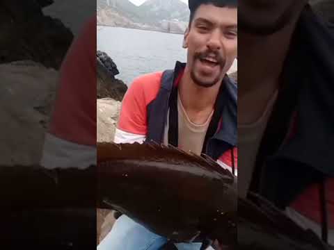 أحسن طريقة صيد سمك بي الحي