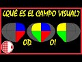 👁️💊 Qué es el campo visual? 👀 Cuadrantanopsias/Hemianopsias - Repaso de Oftalmología 2020