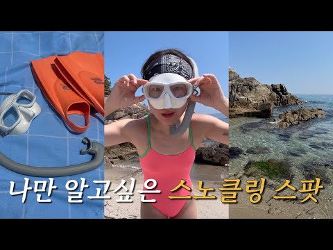 2-Day Vlog of a Woman Who Visits the Uljin Coast Every Week